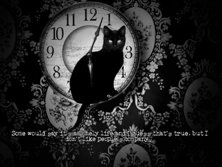 Illustration for article titled The Cat Lady review